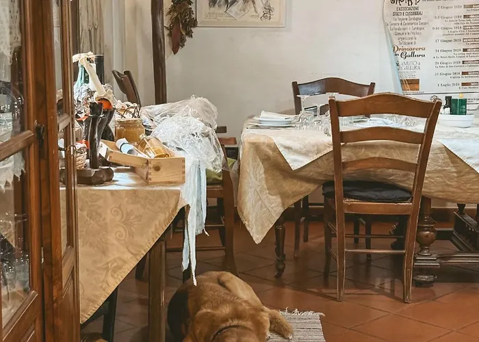 Agriturismo Il Muto Di Gallura