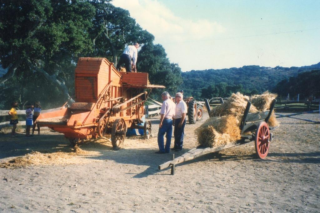 Il Muto Di Gallura Agroturismo Aggius