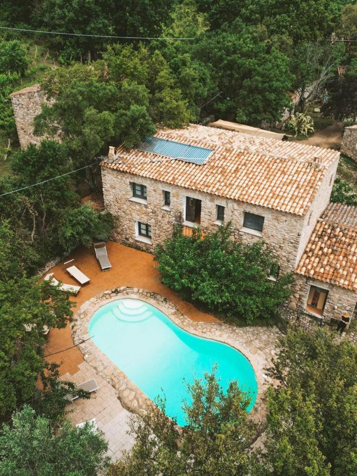 Il Muto Di Gallura
