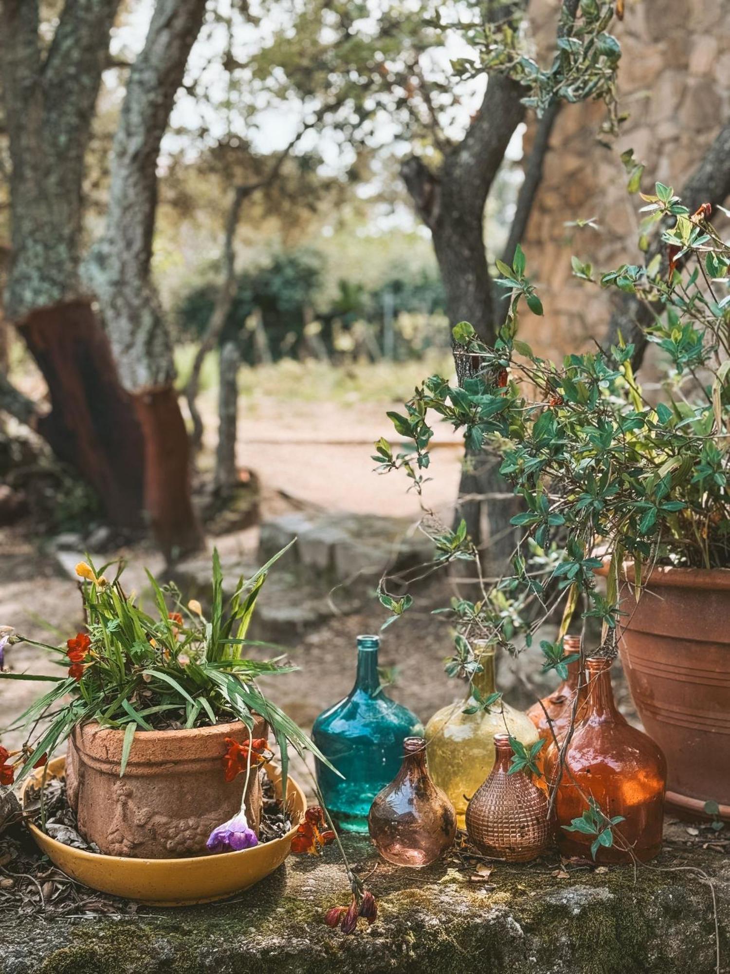 Il Muto Di Gallura Bauernhof