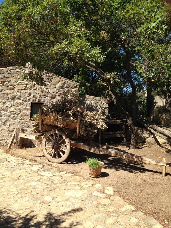 Il Muto Di Gallura *