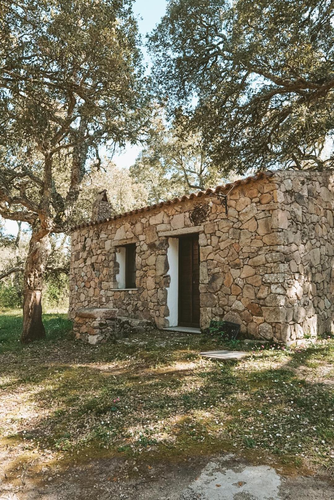 Il Muto Di Gallura Aggius