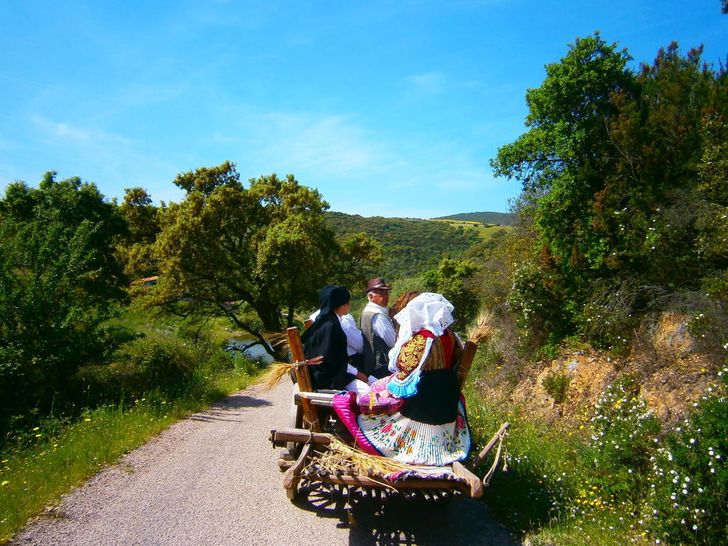 Bauernhof Il Muto Di Gallura