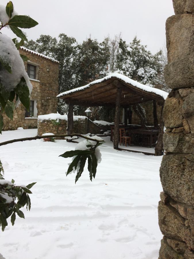 Bauernhof Il Muto Di Gallura Aggius