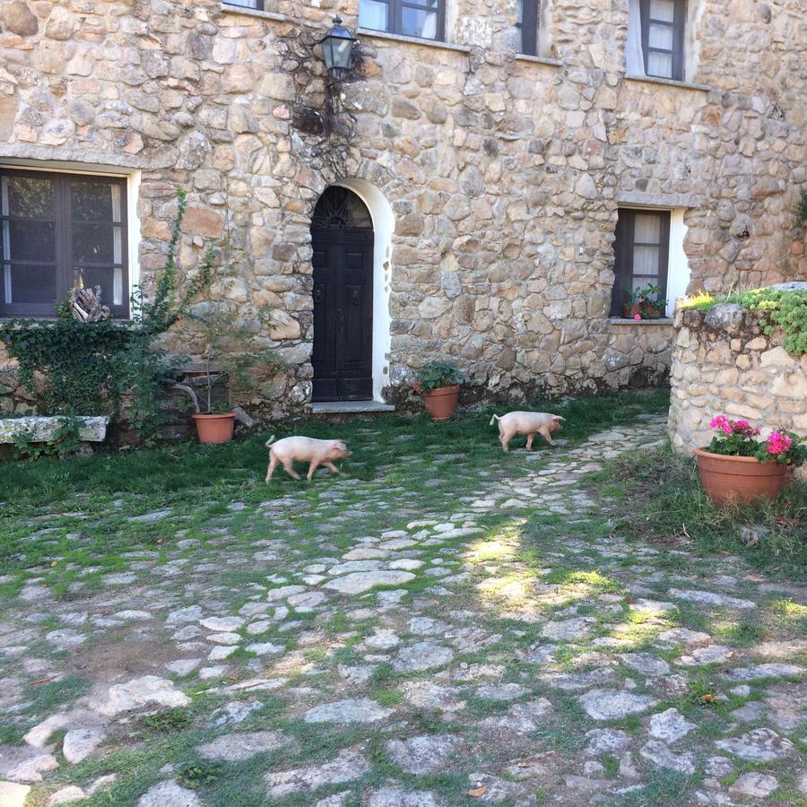 Il Muto Di Gallura Bauernhof *