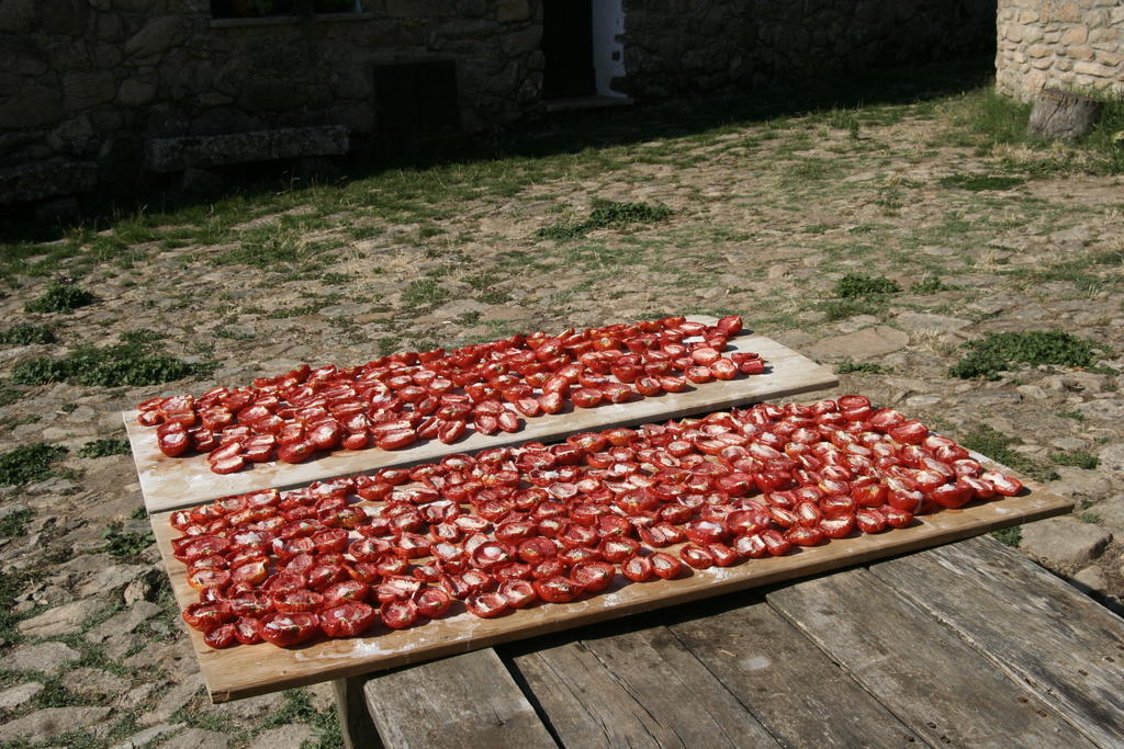 Agriturismo Il Muto Di Gallura Aggius